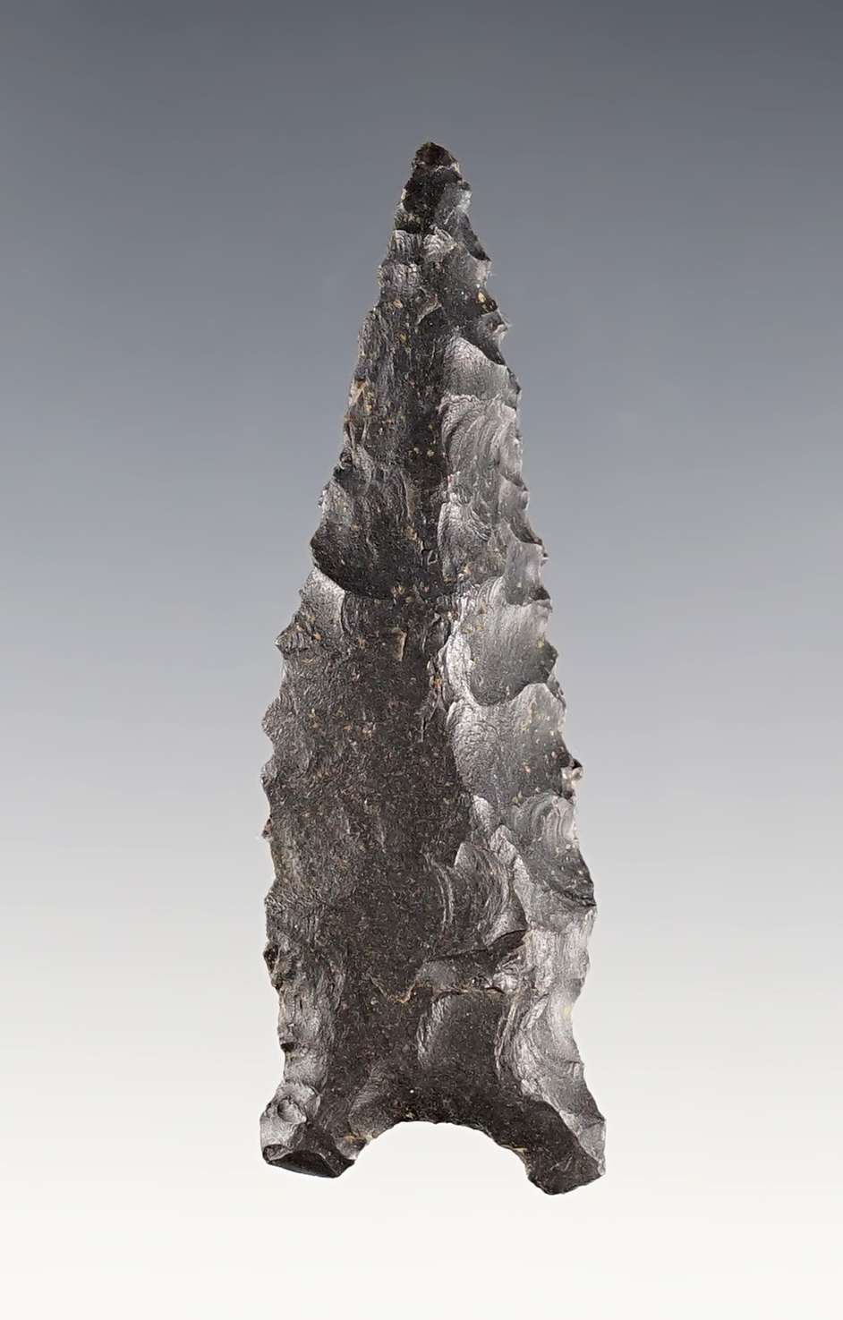 2 1/4" Kentucky Dalton in nice condition. Ex. Garry Mumaw.