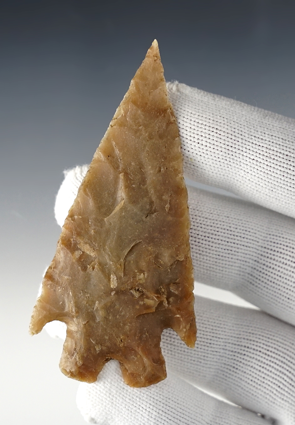 Classic 3 3/16" Montell - Kinney Co., Texas. Ex. Ace Sanchez, Bill Arnold. Carlos Black COA.