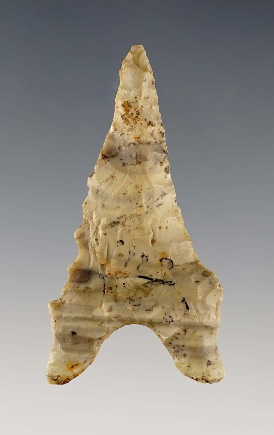 2 3/16" Illinois Dalton made from beautifully colored Chert. Ex. Guy Brothers collection.