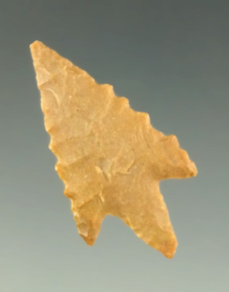 Ex. Perino - Pictured! Well styled 1 3/16" Perdiz point found in Texas on Lake Livingston.