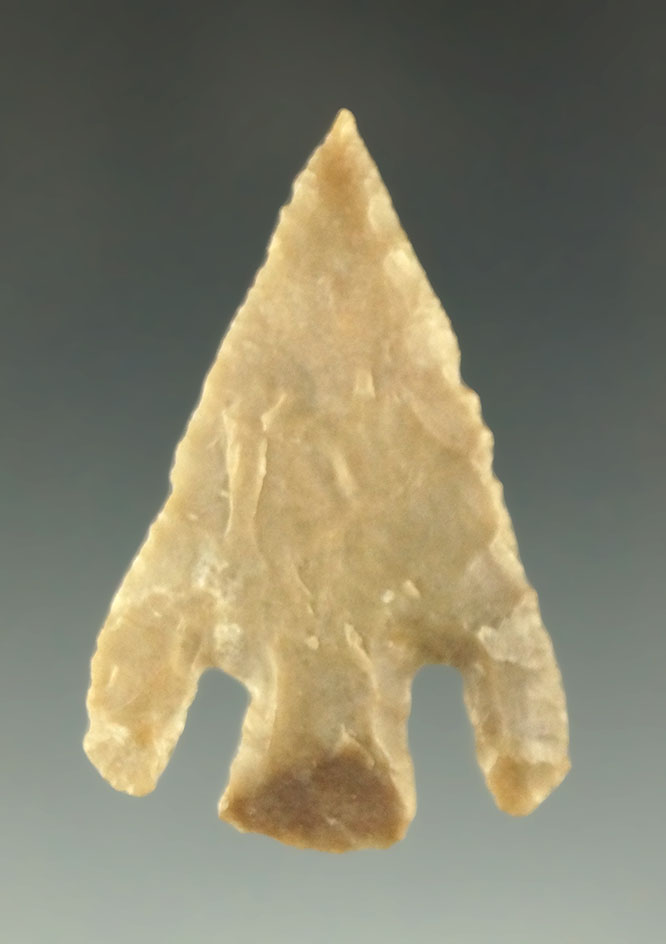 1 11/16" Shumla point found in West Texas in very nice condition.