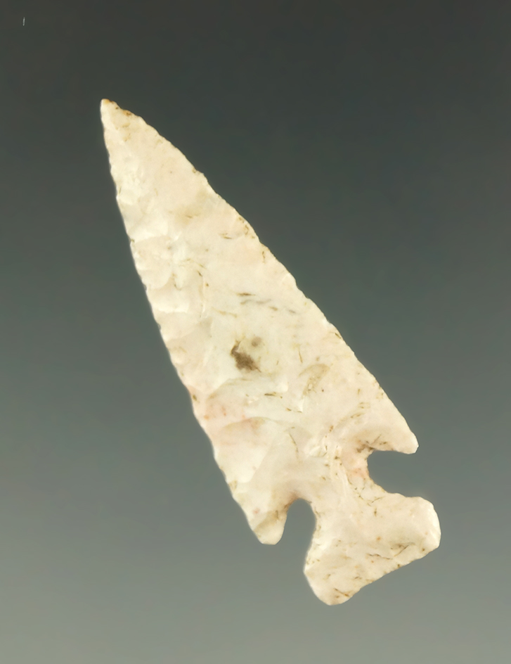 Well styled 1 7/16" Sequoyah point found in Missouri made from Burlington chert. Ex. Shewey.