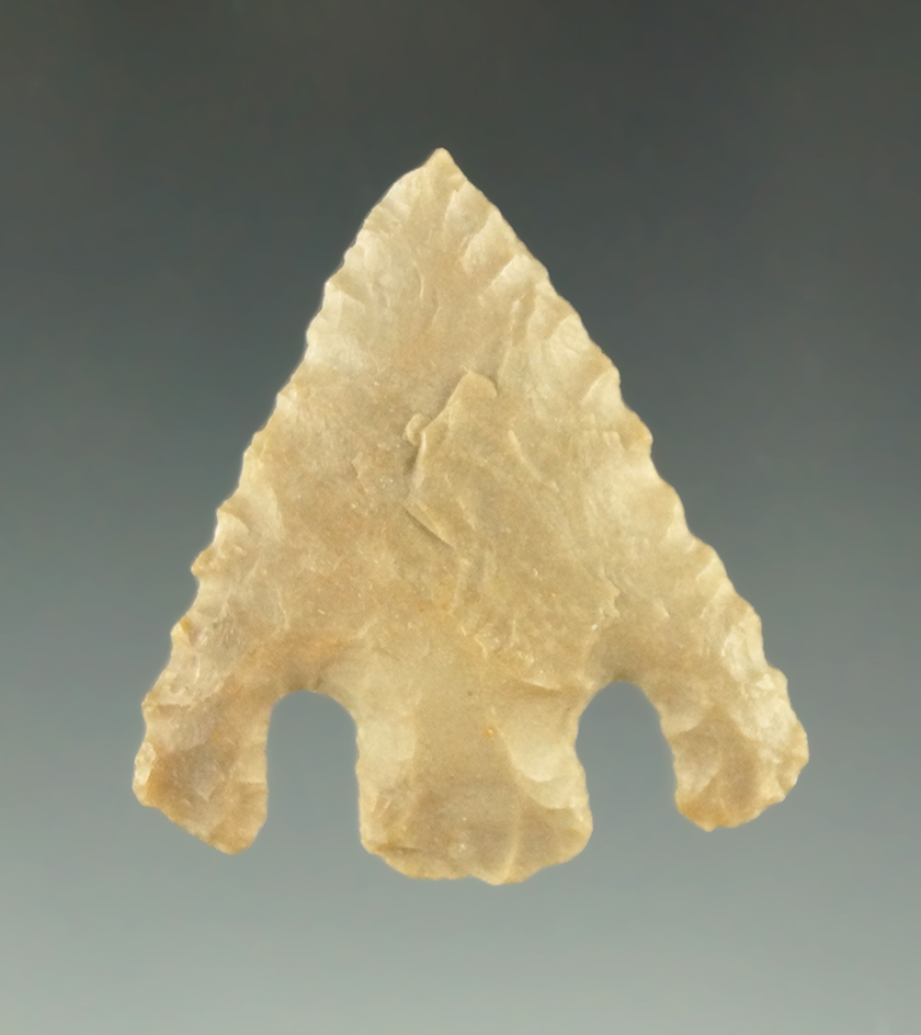 1 3/16" Shumla point found in Texas in nice condition.