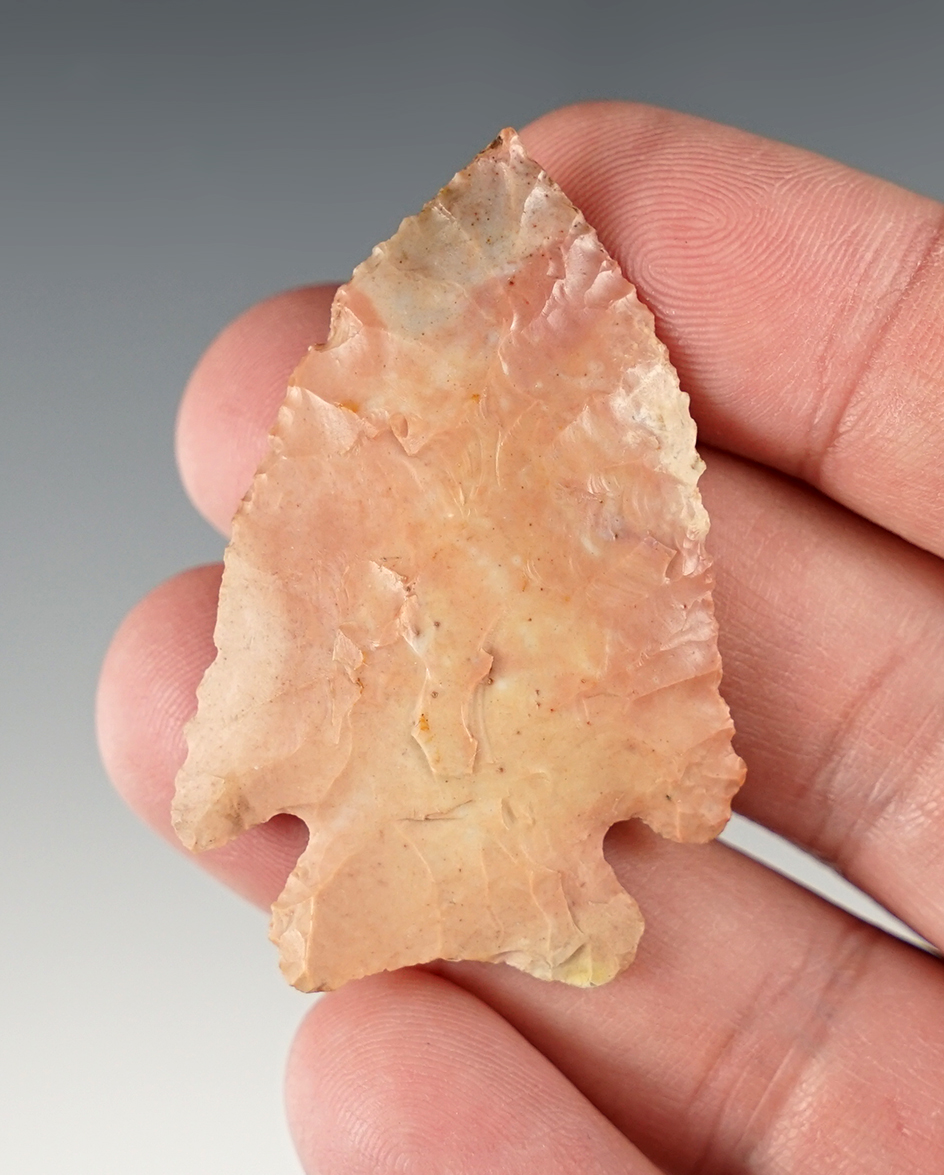 2 1/8" Pink Flint Ridge Archaic Kirk Point. Very finely made with a needle tip. Marion Co., Ohio.