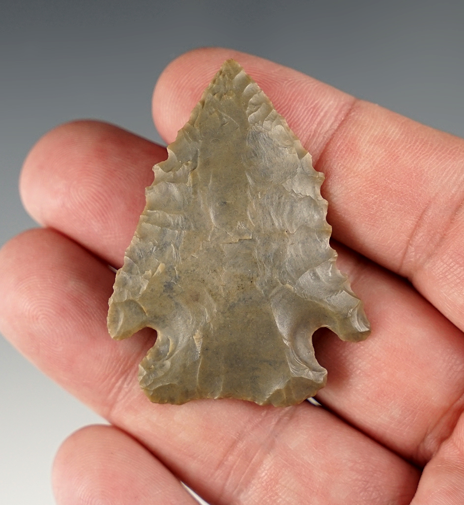 Finely serrated 2" Diagonal Notch made from Hornstone. Found in Allen Co., Ohio.