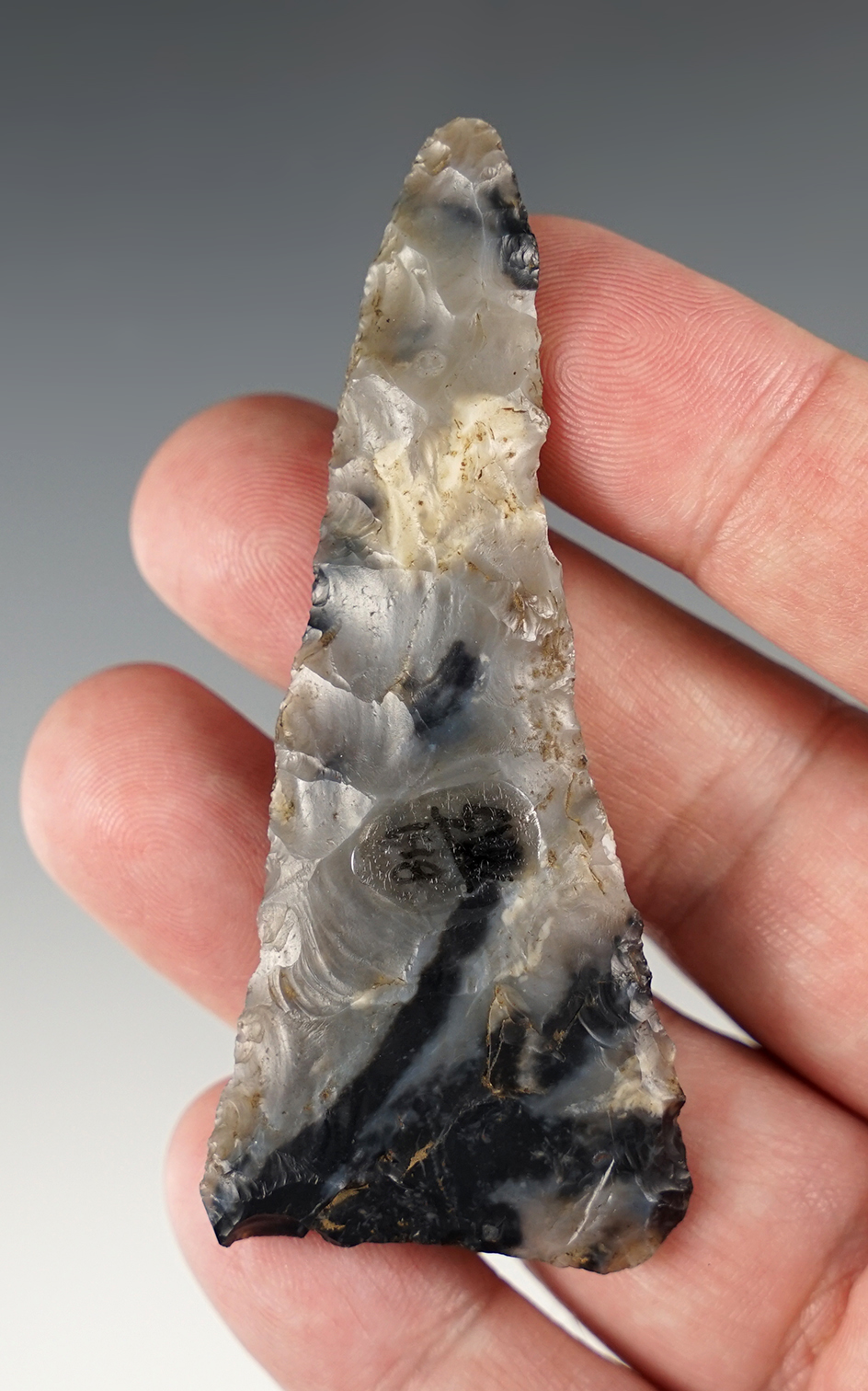 Beautiful 3 1/8" Ft. Ancient Knife found in Ross Co., Ohio. Ex. Bob Converse and Shannon White.