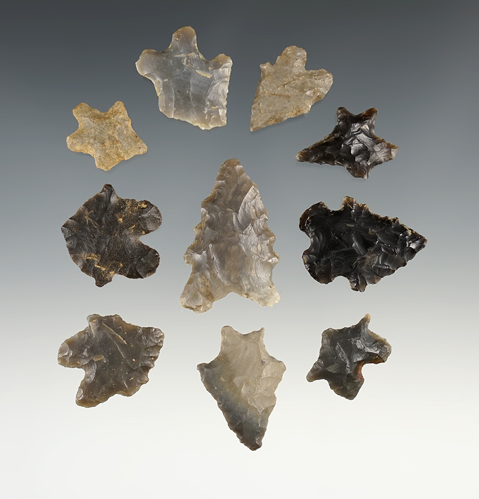 Set of 10 Kentucky Bifurcated points in good condition. The largest is 1 7/16".