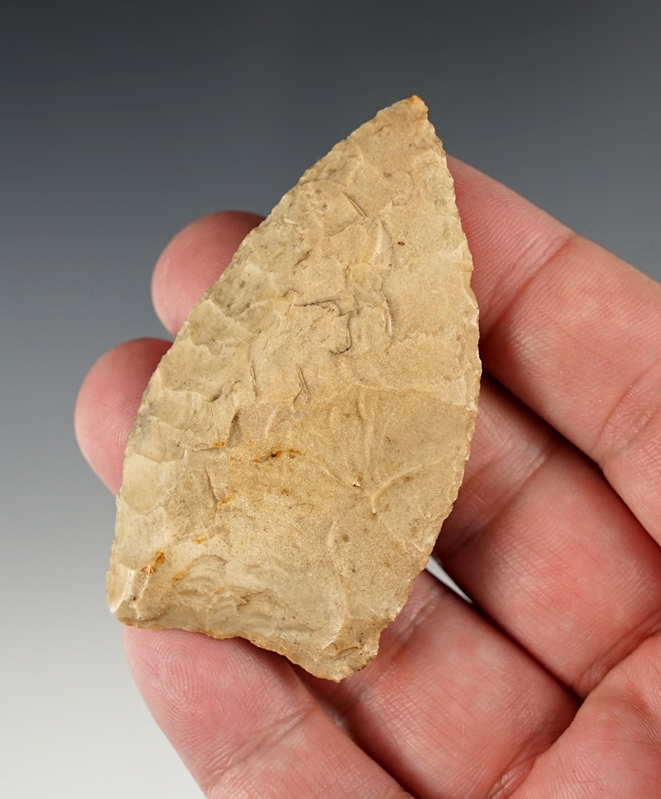 2 11/16" Lanceolate Knife in excellent condition. Found in the Midwestern U.S.