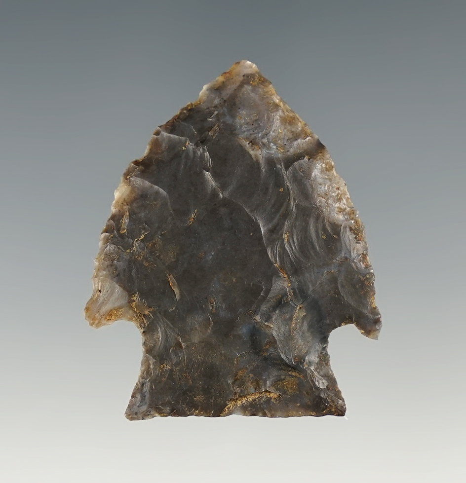 Nice 1 5/8"Jacks Reef found in Kentucky. Ex. Tom Davis.