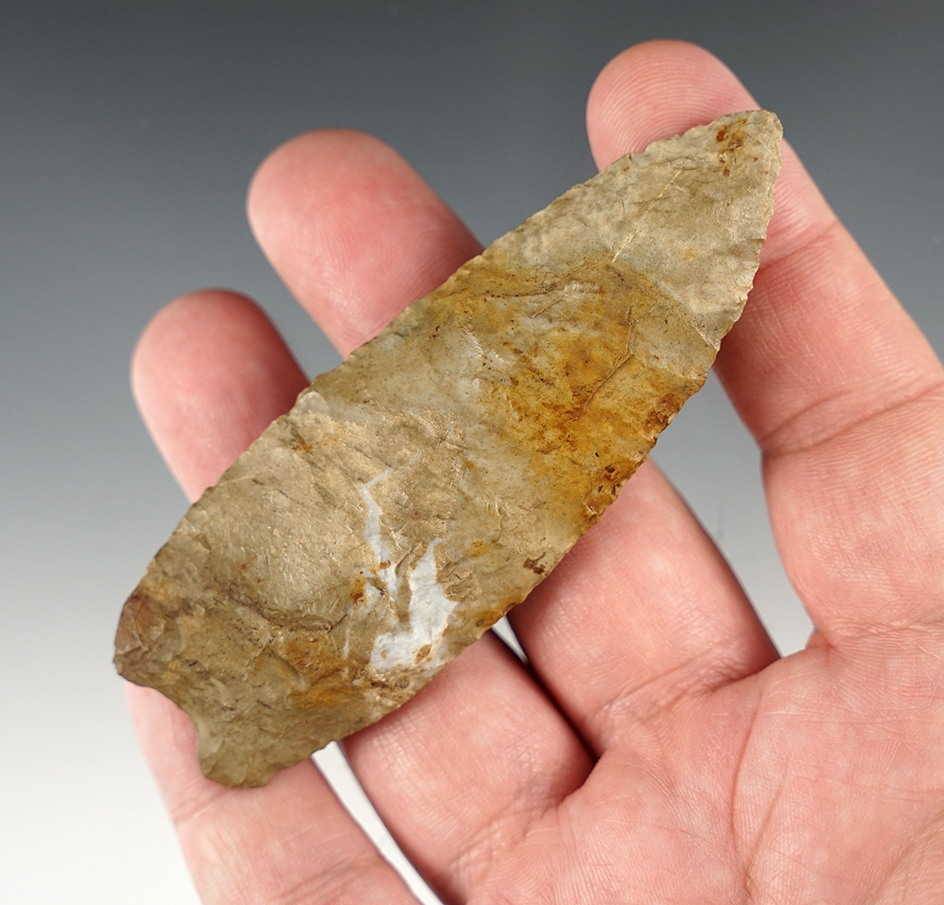 3 5/8" Paleo - lightly fluted on one side. Found in Southern Ohio.