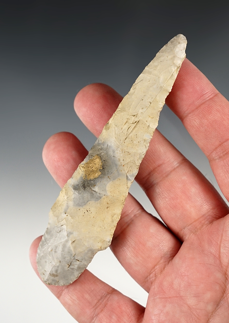 Nice 4 7/16" Gary found in the Midwestern U.S.