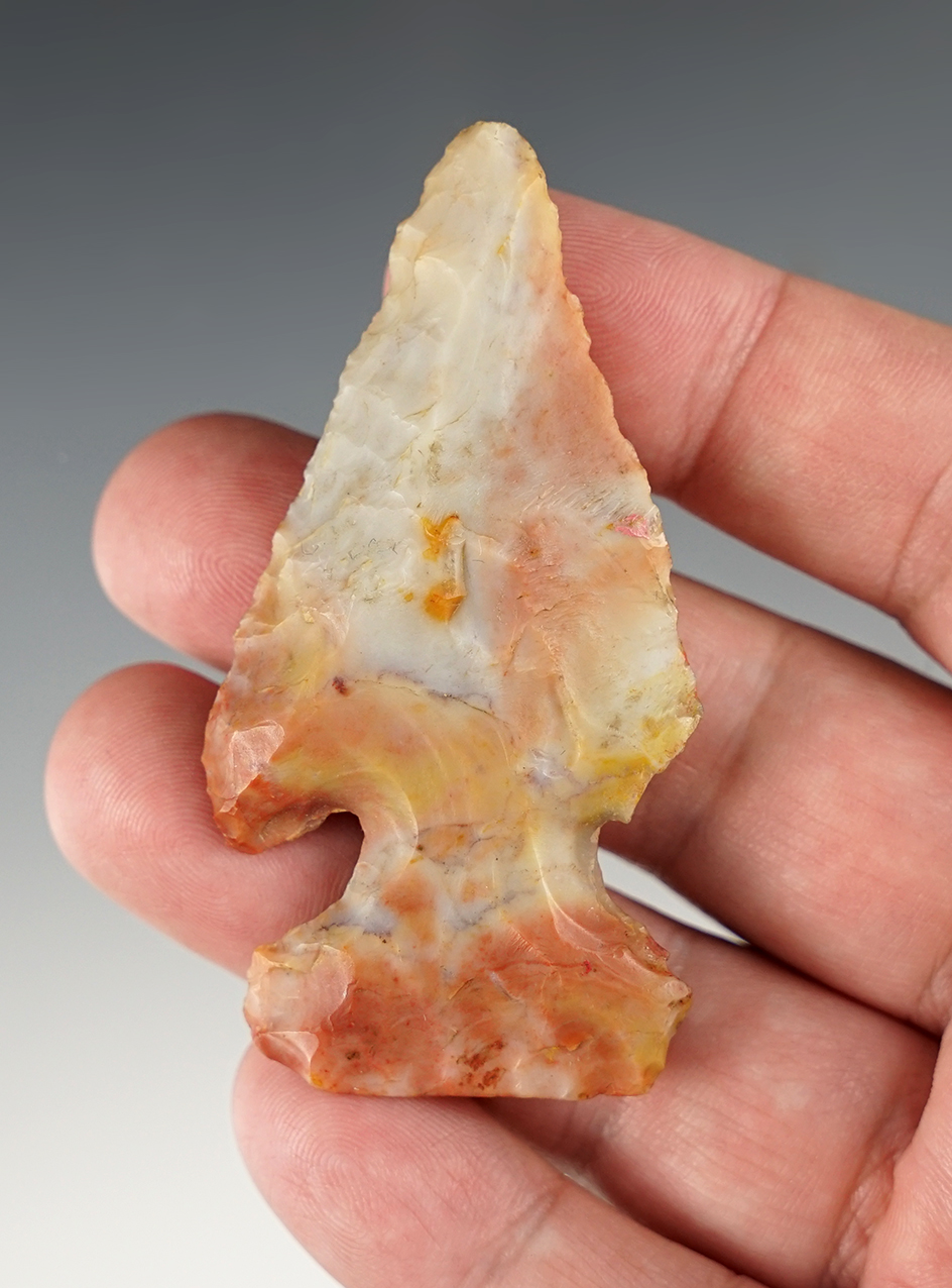 Highly colorful 2 13/16" Archaic Thebes Bevel found in Wood Co., Ohio. Ex. Jon Geoff Roth.