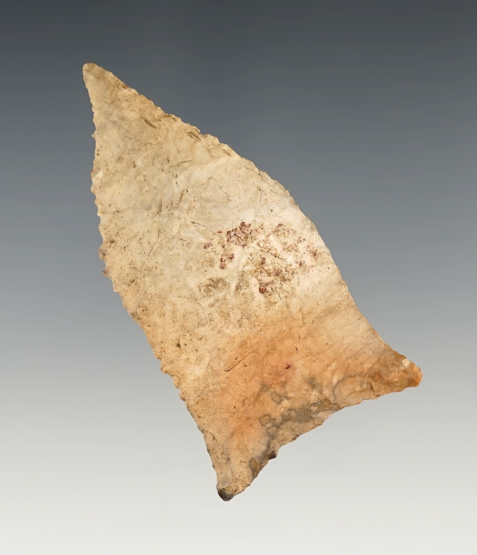 Needle tip 2 11/16" Copena found in Tennessee. Made from colorful chert.