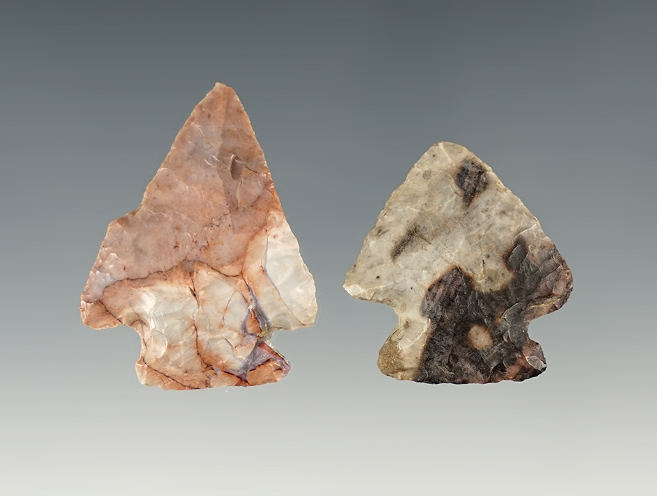 Two highly colored Nethers Flint Pentagonal Points. Ohio. Beautiful examples. Largest is 1 7/16".