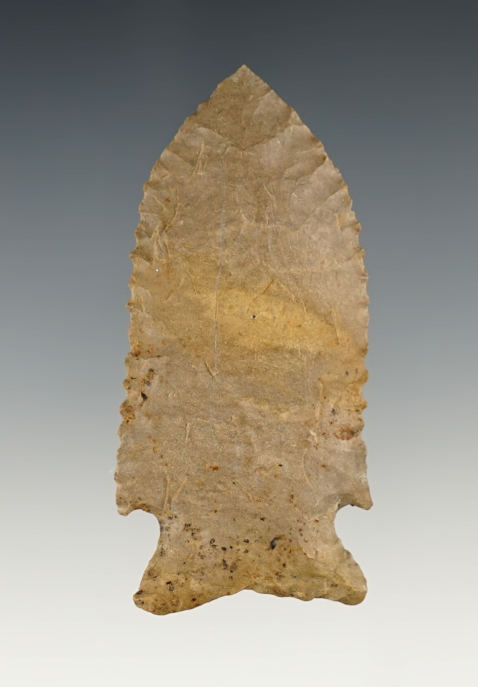 2 3/4" Stilwell that is nicely serrated. Found in Tennessee.