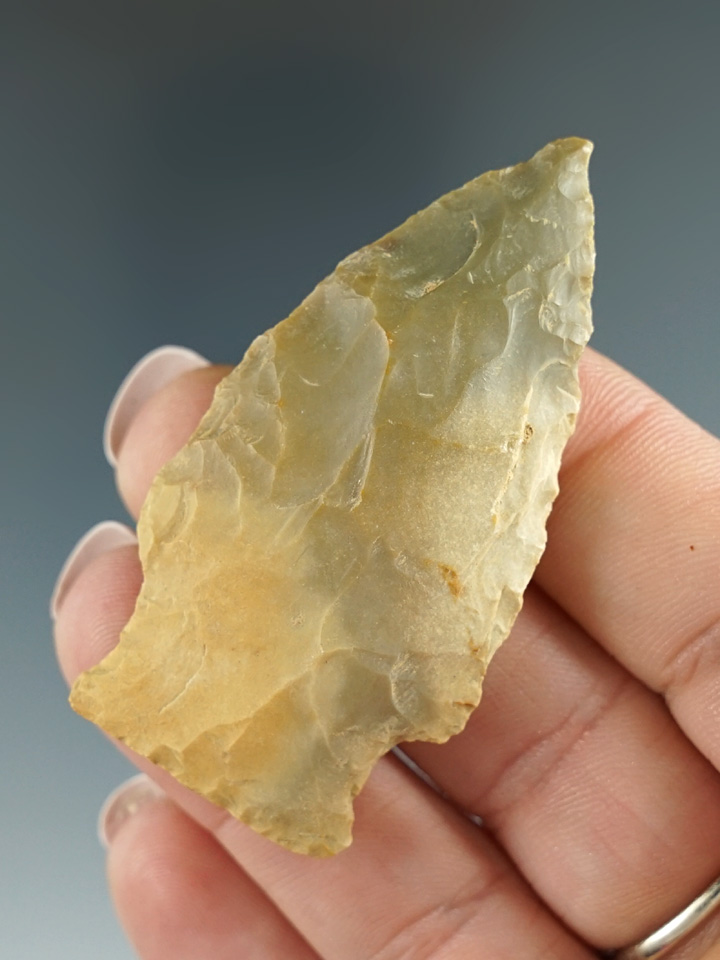 2 5/16" stemmed Knife found in Kentucky.