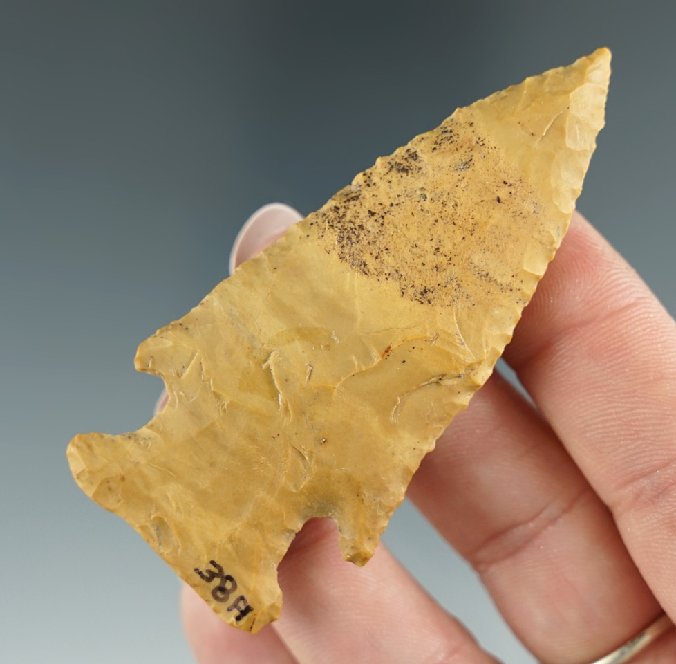 2 13/16" Hardin Knobbed found in Tennessee. Comes with a Rogers COA.