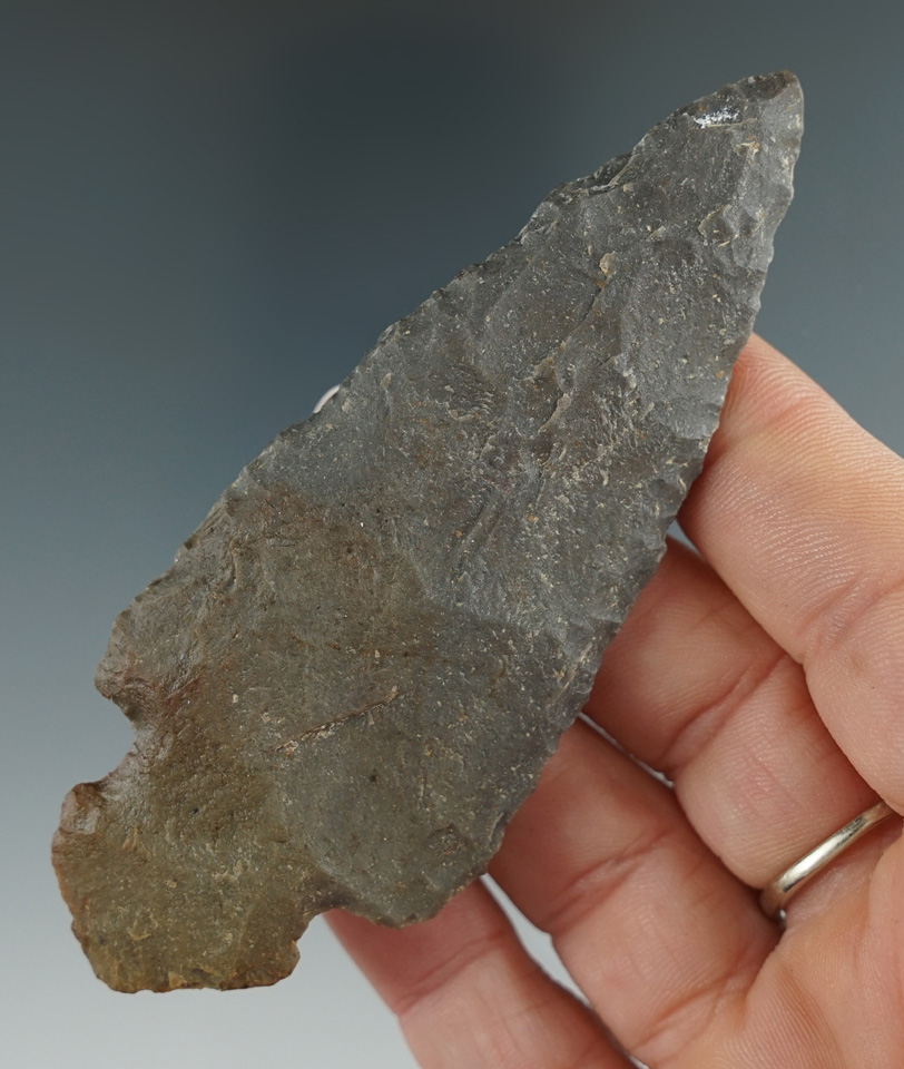 3 3/4" Turkeytail found in Indiana.