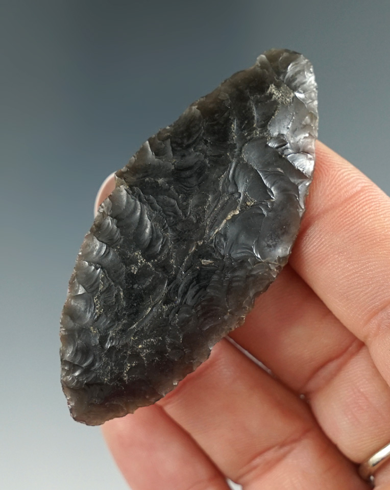 2 7/16" obsidian Cascade found in Oregon.