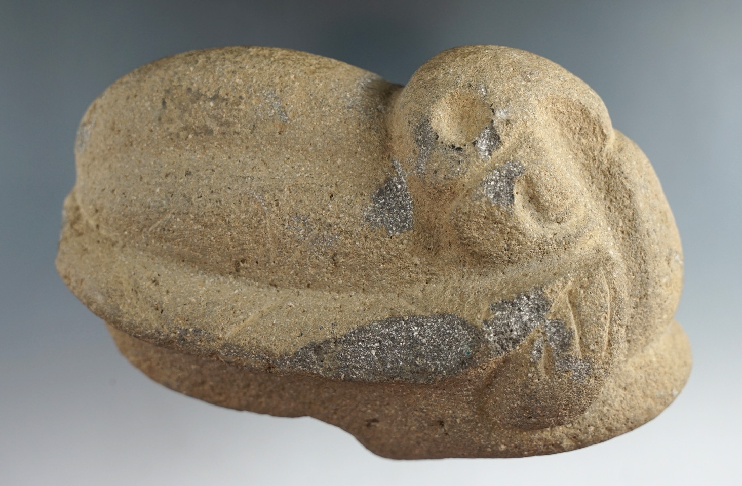 Very unique 5 3/4" long pre-Columbian stone carving of a sleeping bird found in Peru.