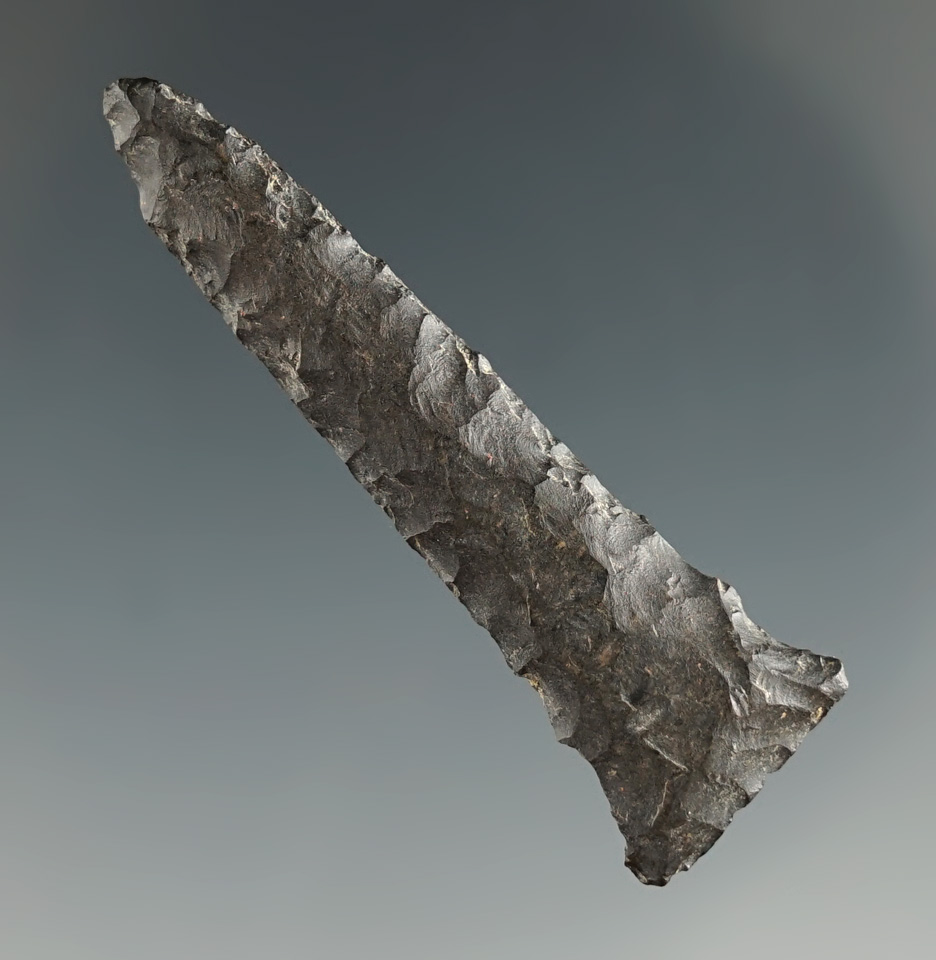 1 7/8" early eared found near Quilomene Bar, Columbia River, Washington.