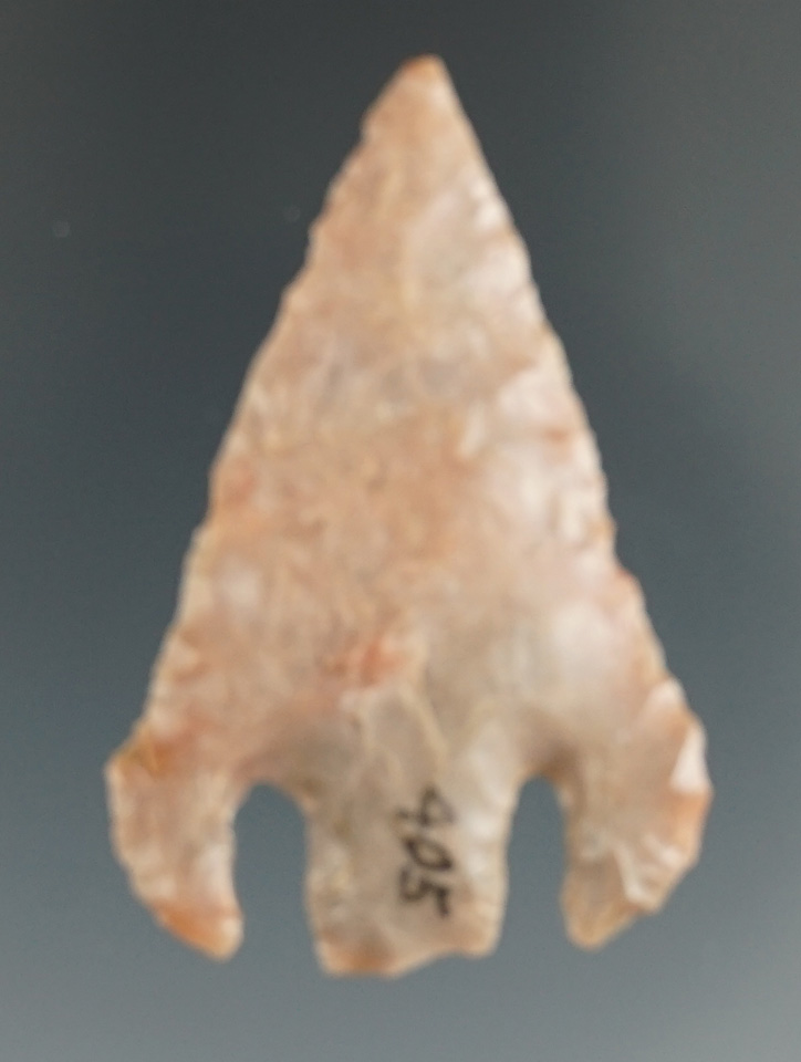 1 15/16" beautifully styled Shumla found in Zapata Co., Texas. Comes with a Rogers COA.