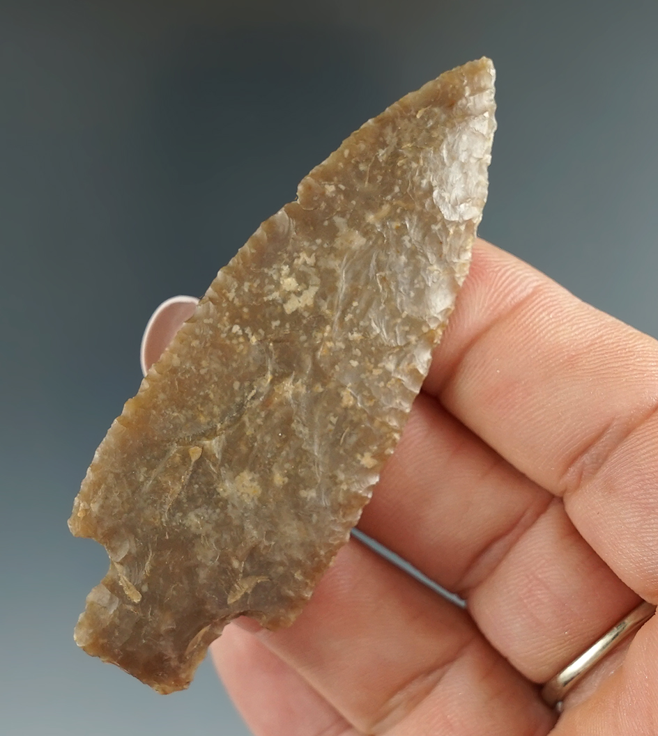2 13/16" well styled Darl point found in Bastrop Co., Texas. Comes with a Roger COA.