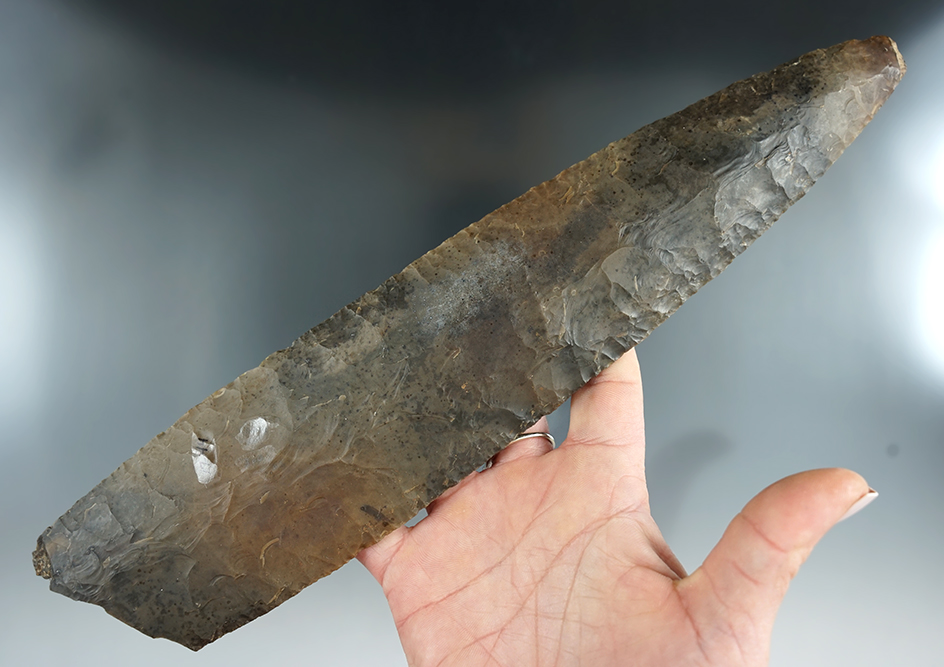 Large! 11 3/8" ceremonially broken Mayan Blade section found in Belize.