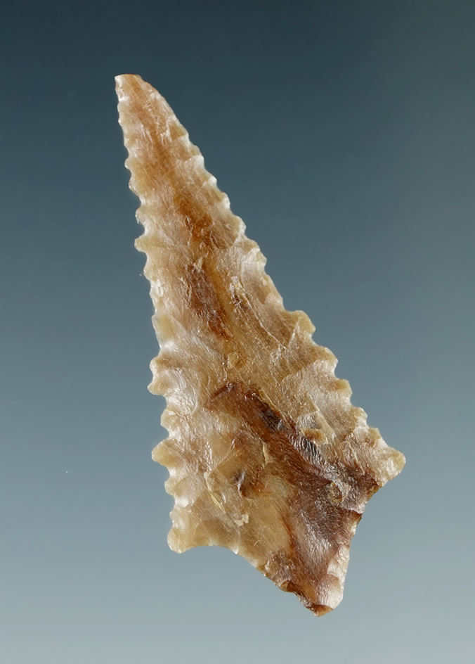 1 1/2" Serrated Rabbit Island made from Agatized Wood, found near the Columbia River.