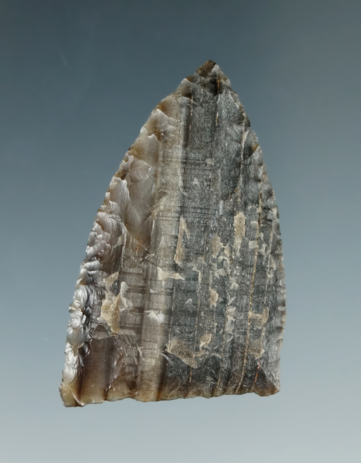 1 3/4" Triangle Knife made from Grey Petrified Wood, found near the Columbia River.