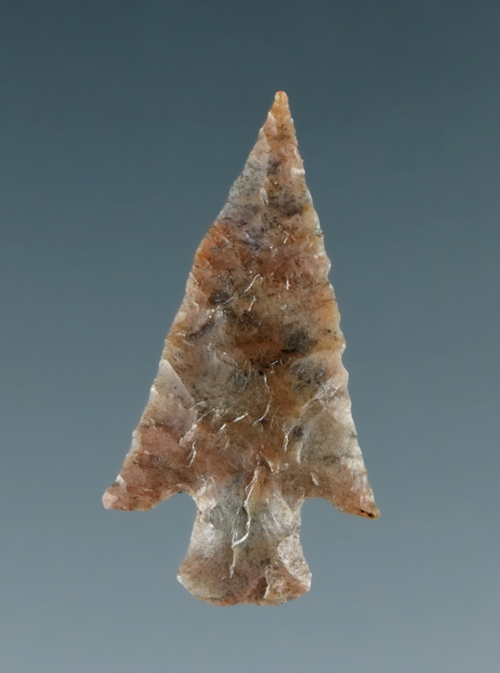 Fine 13/16" Columbia Plateau found in Wasco Co., Oregon.