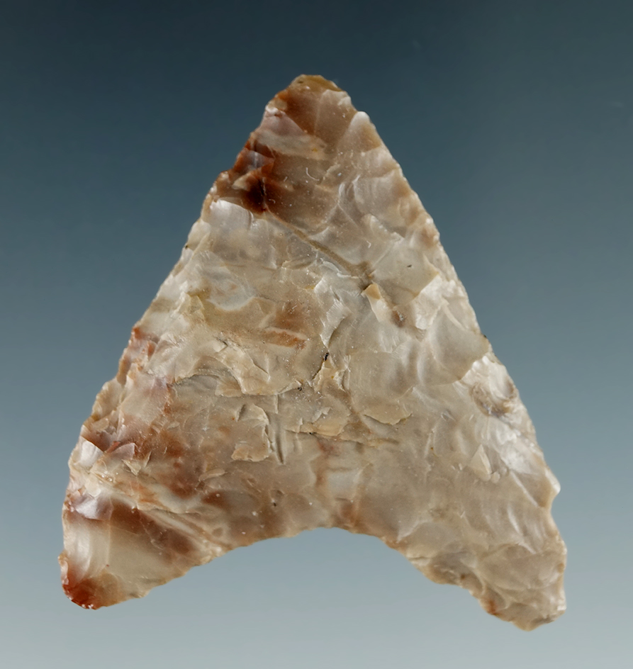 1 1/2" Mule Ear made from Petrified Wood found near Biggs Junction, Columbia River, Oregon.