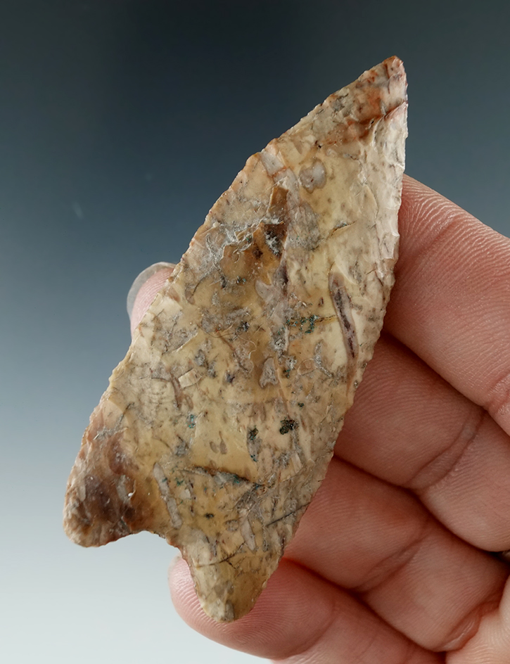 2 1/2" Humbolt Concave Base made from Tan Jasper found near the Columbia River.