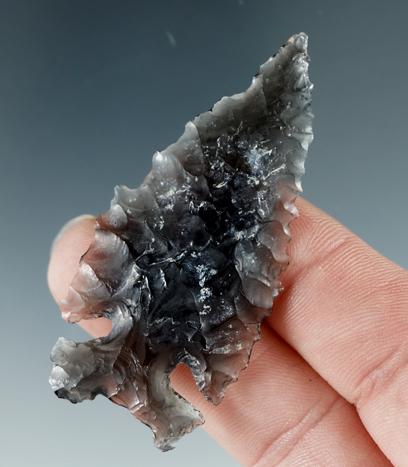 2 1/4" Northern Sidenotch that is heavily serrated, made from translucent Obsidian, Oregon.