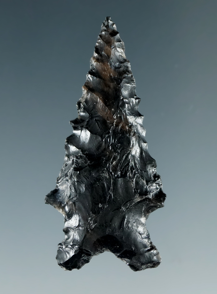 1 3/4" Elko that is heavily serrated and made from Obsidian, found in the Great Basin, Oregon.