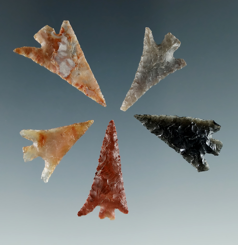 Group of 5 nice Columbia Plateaus found near John Day, Oregon. Largest is 1".