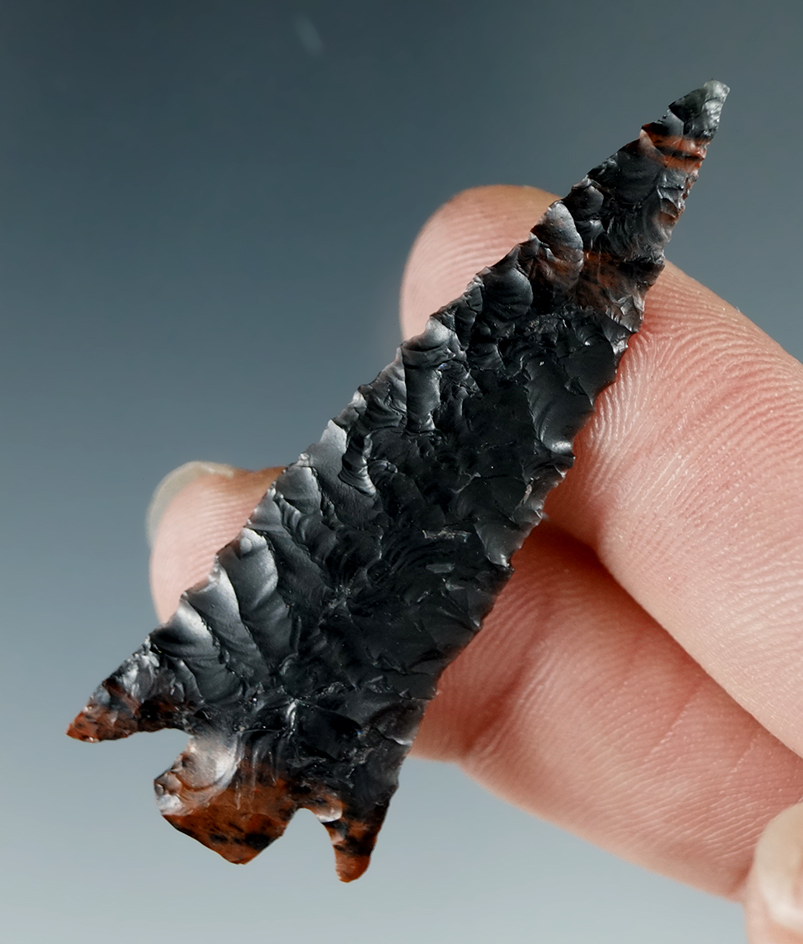 2" Rose Springs made from Obsidian with a spot of Mahogany. Found in the Great Basin, Oregon.