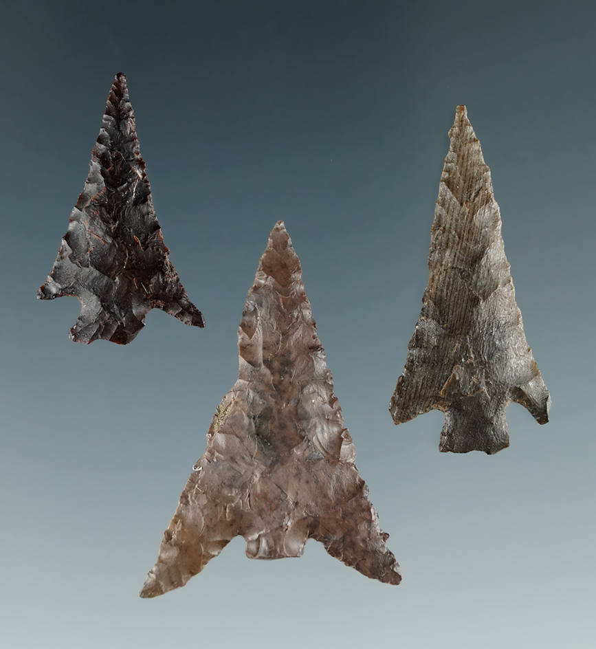Group of 3 Columbia Plateau Points found in Wasco Co., Oregon. Largest is 1 3/8".