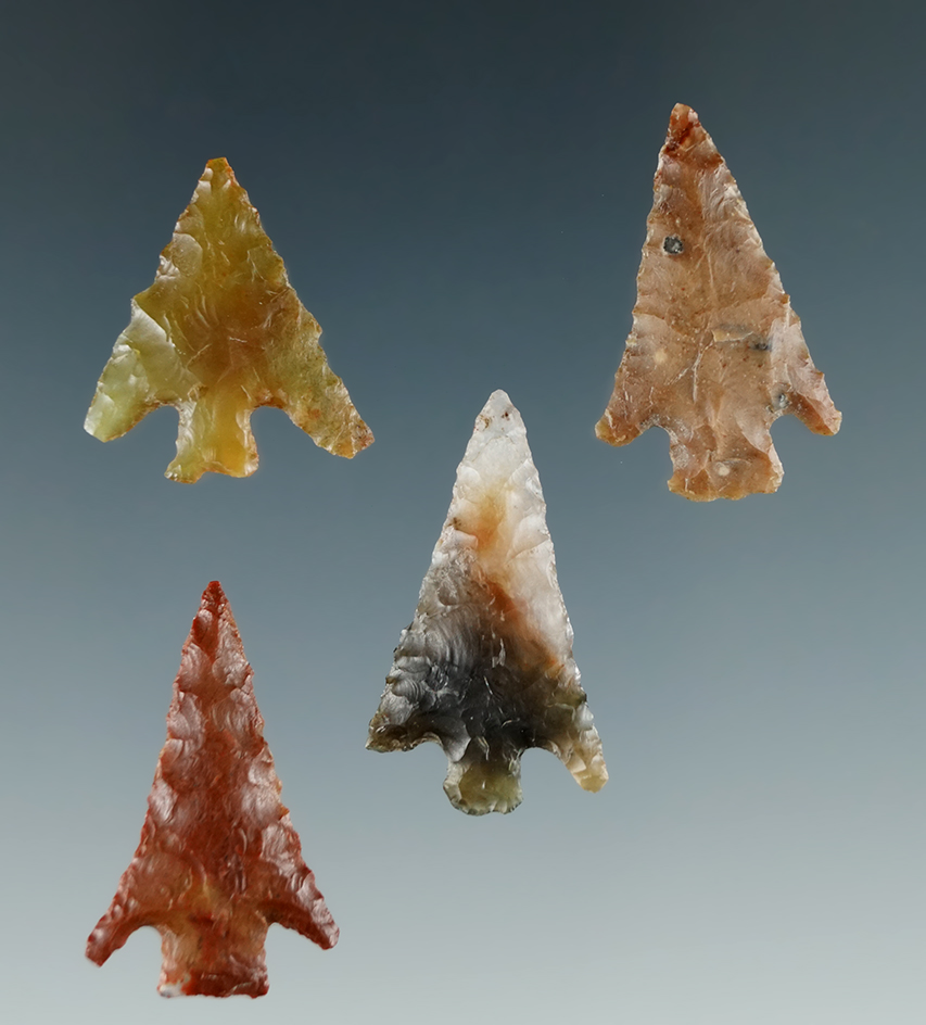 Group of 4 Nice Columbia Plateaus found near Lower Columbia River. Largest is 1".