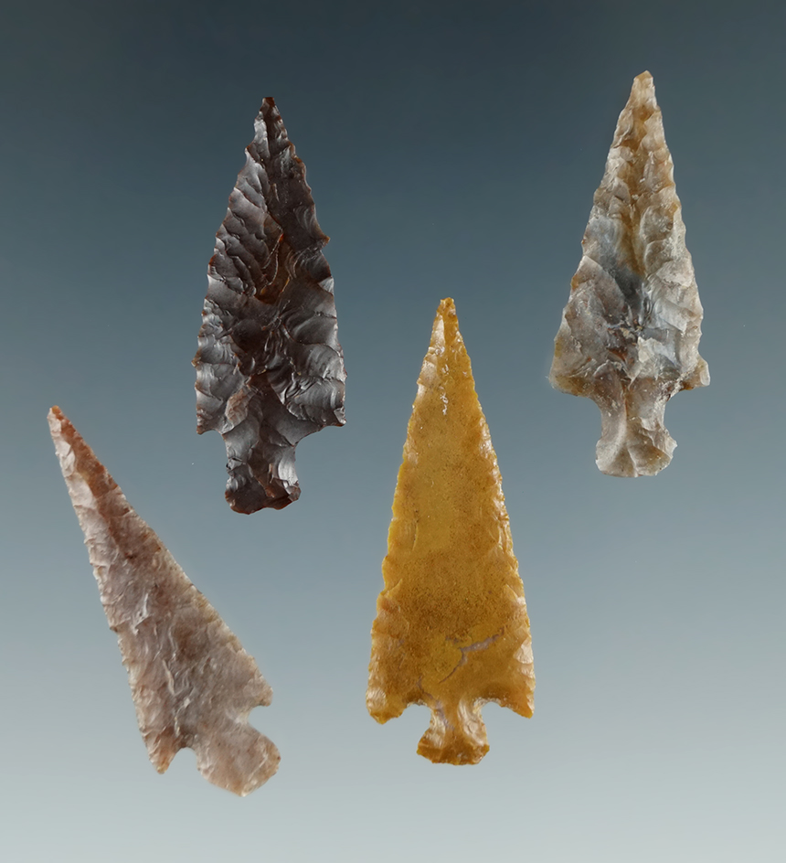 Group of 4 Wallula Gaps found near Hood River, Oregon. Largest is 1 5/16".