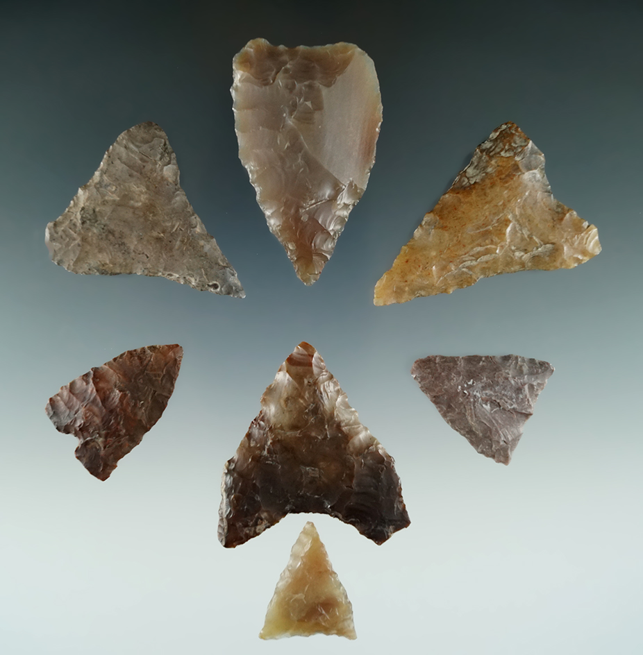 Group of 7 Mule Ears found near the Columbia River, Klickitat Co., Washington.