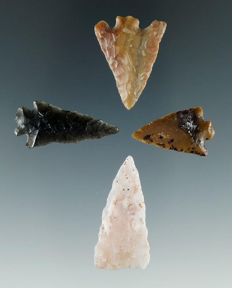 Group of 4 Columbia River Arrowheads, largest is 1 1/4".