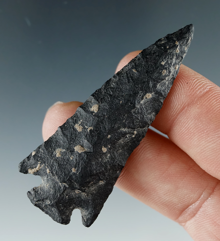 2 3/16" Snake River made from Basalt, found near the John Day, Oregon.