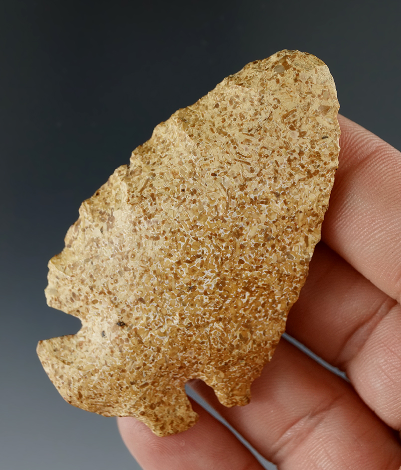 2 1/2" Dovetail found in Illinois. Ex. Don Simmons.