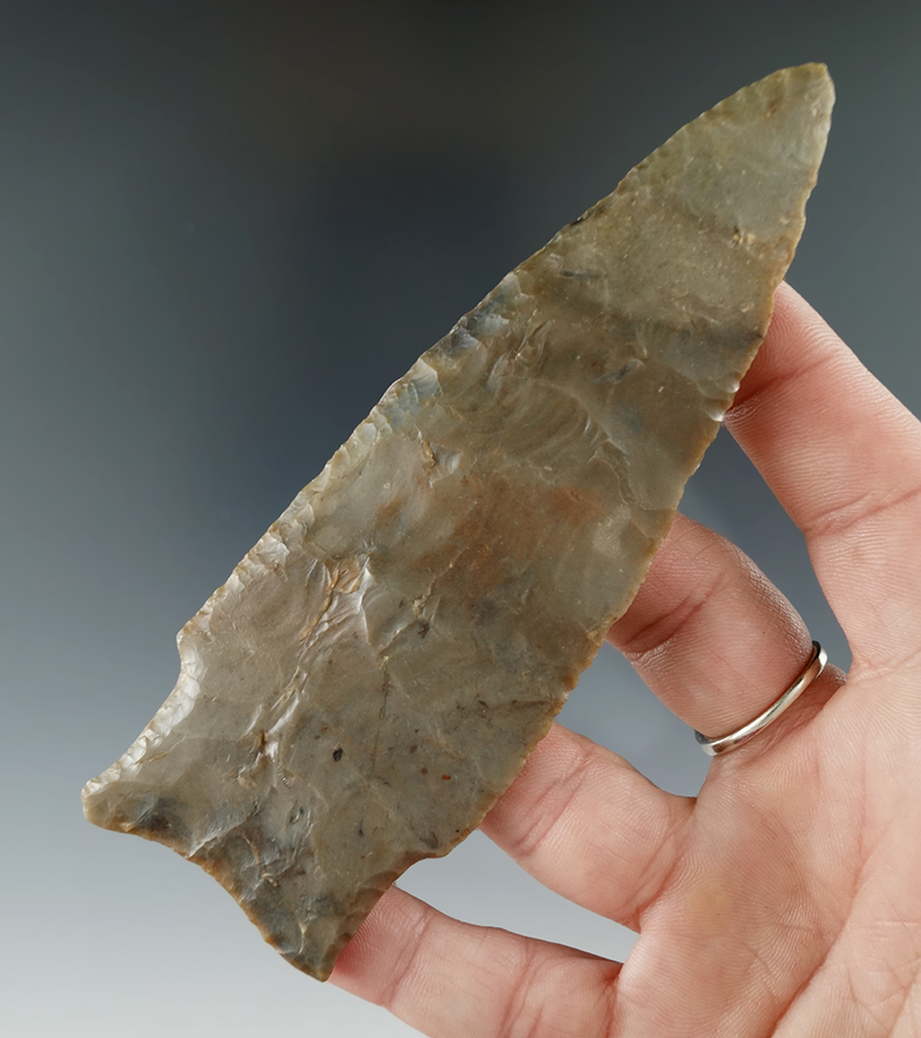 Exceptional! 4 3/4" Dalton - multi-colored Flint. Found in St. Clair County Missouri. Jackson COA.