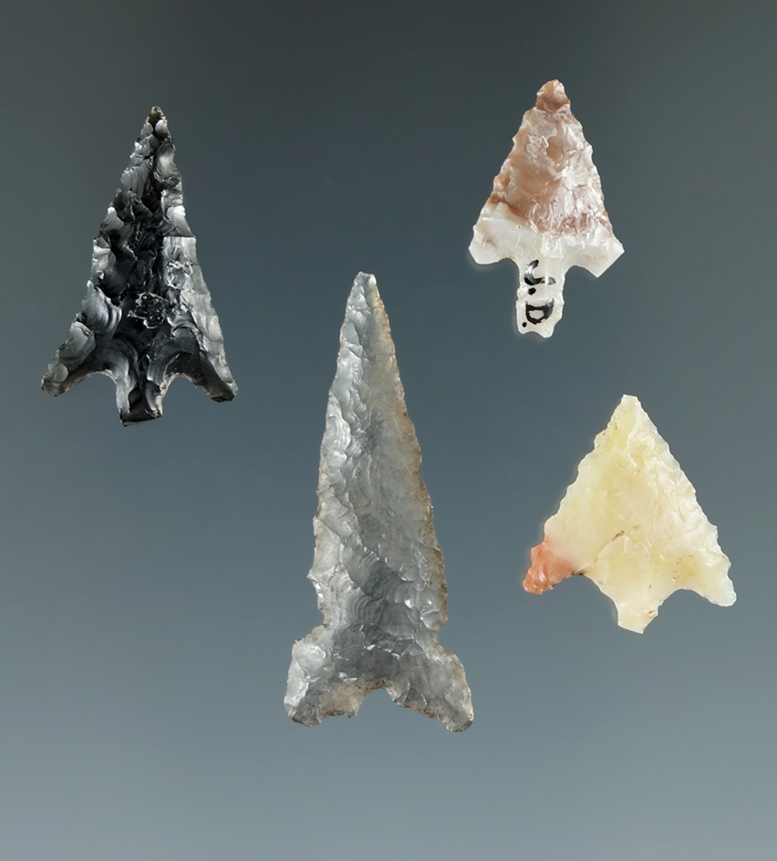 Set of four arrowheads found near the Columbia River, Oregon. Largest is 1 1/4".