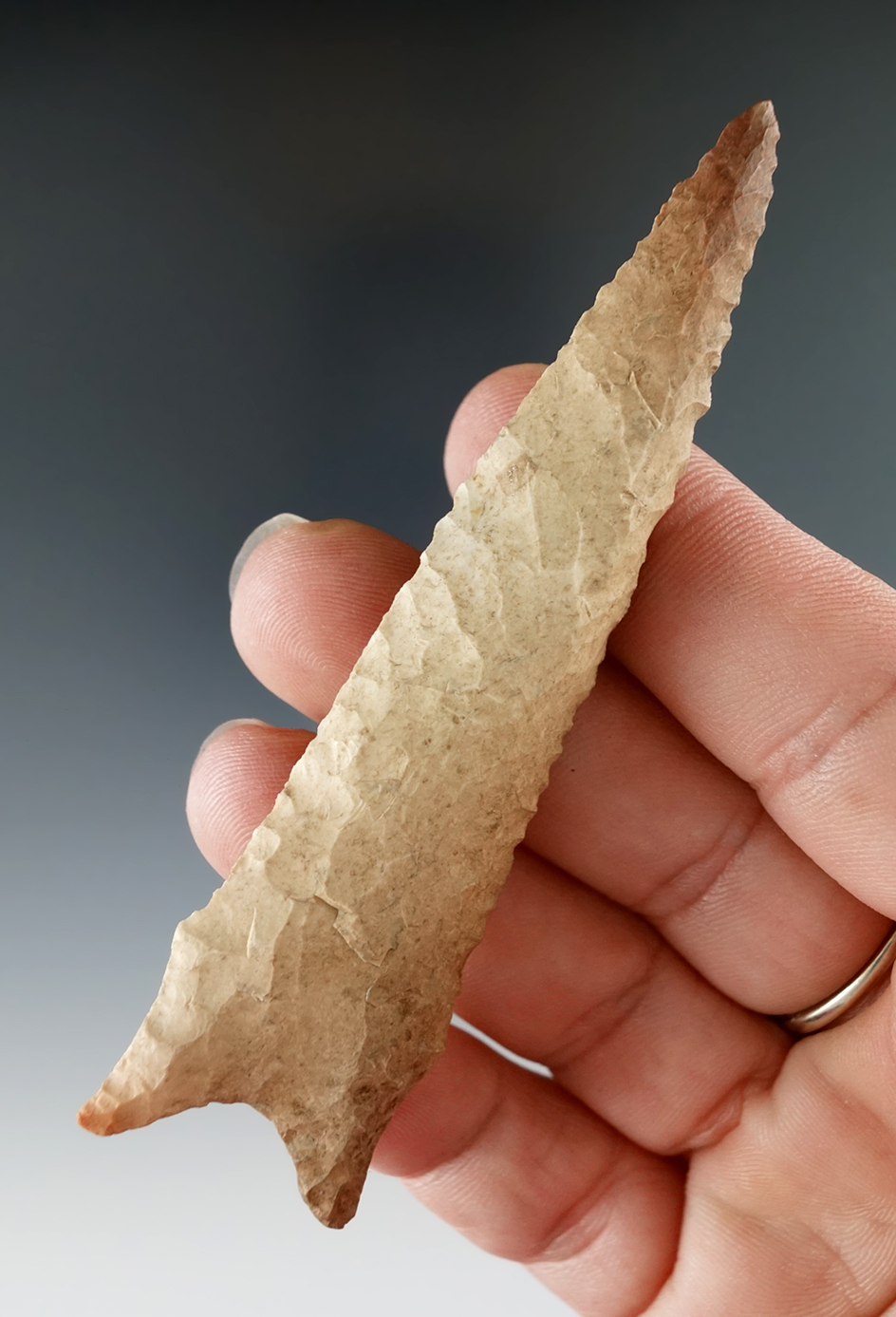 Very nice 3 5/8" Dalton found in St. Louis County Missouri. Ex. Don Simmons.