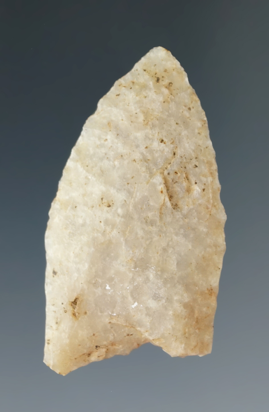 1 13/16" Paleo fluted Clovis found in Illinois.