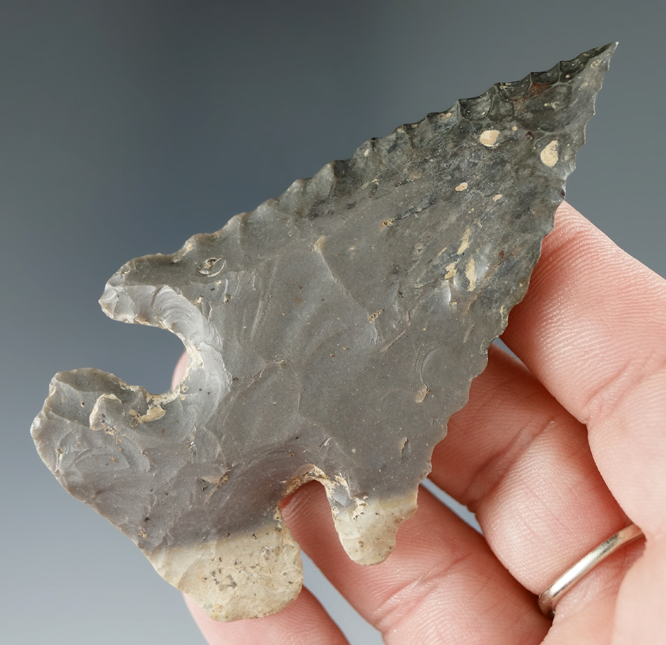 3 3/16" Hornstone Archaic Thebes Bevel - restoration to 1 3/16" of tip area found in Clark Co., IL.