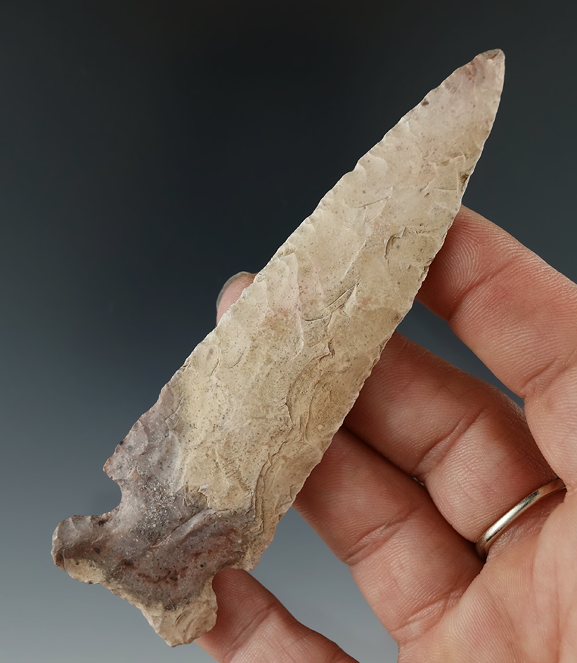 4 3/16" Oceola found by Gerald Shoemaker in Jo Daviess County Illinois. Comes with a Perino COA.